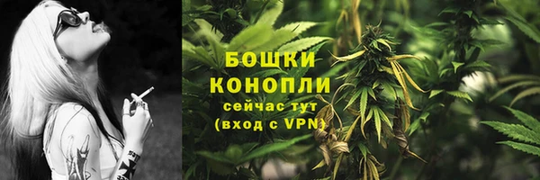 амф Надым