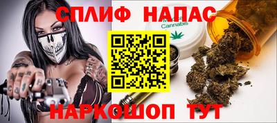 гидропоника Гусев