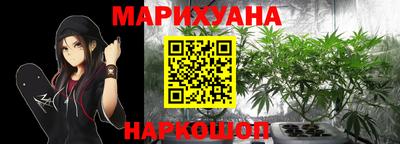 гидропоника Гусев