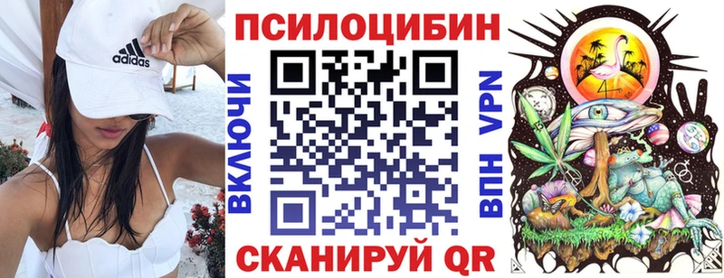 Галлюциногенные грибы Psilocybe  Благовещенск 