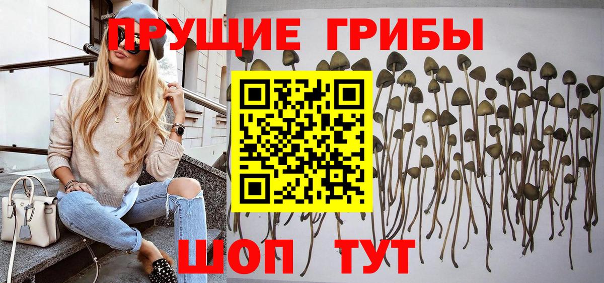 Галлюциногенные грибы ЛСД Благовещенск