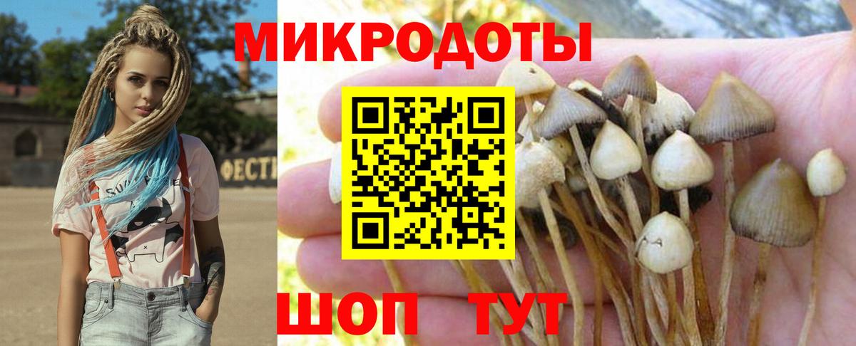 Псилоцибиновые грибы MAGIC MUSHROOMS  Вход с VPN  Галлюциногенные грибы Cubensis  Благовещенск 